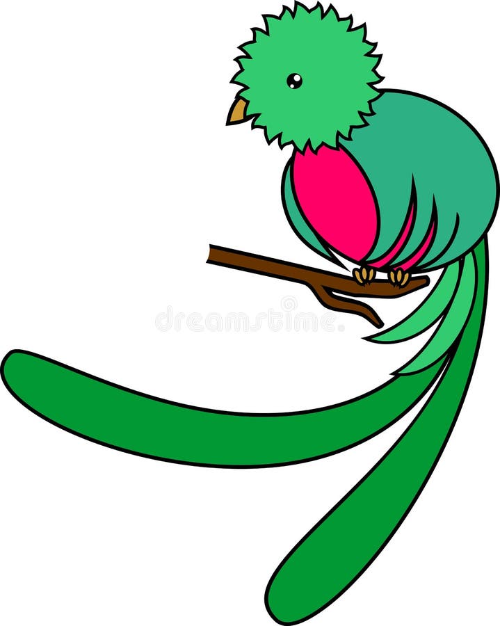 De groene tropische zitting van vogel Schitterende quetzal op tak op witte achtergrond stock illustratie De groene tropische zitting van vogel Schitterende quetzal op tak op witte achtergrond stock illustratie