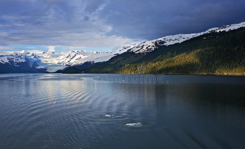 De grootsheid van Alaska royalty-vrije stock afbeeldingen De grootsheid van Alaska royalty-vrije stock afbeeldingen