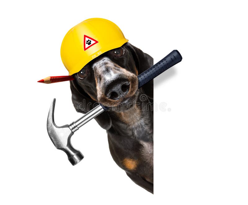 De hamerhond van de manusje van allesarbeider met helm