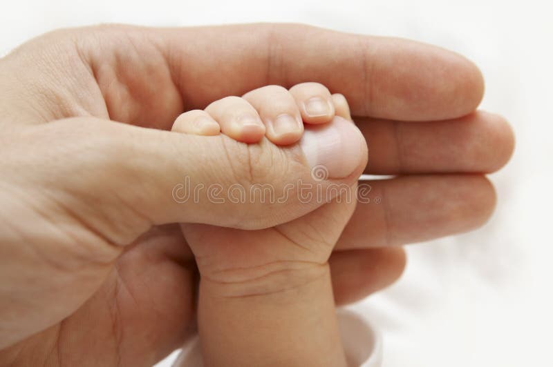 Baby Hand, Father Hold New Born Kid, Parent Touch Newborn Child, Family Help Care Concept. Baby Hand, Father Hold New Born Kid, Parent Touch Newborn Child, Family Help Care Concept