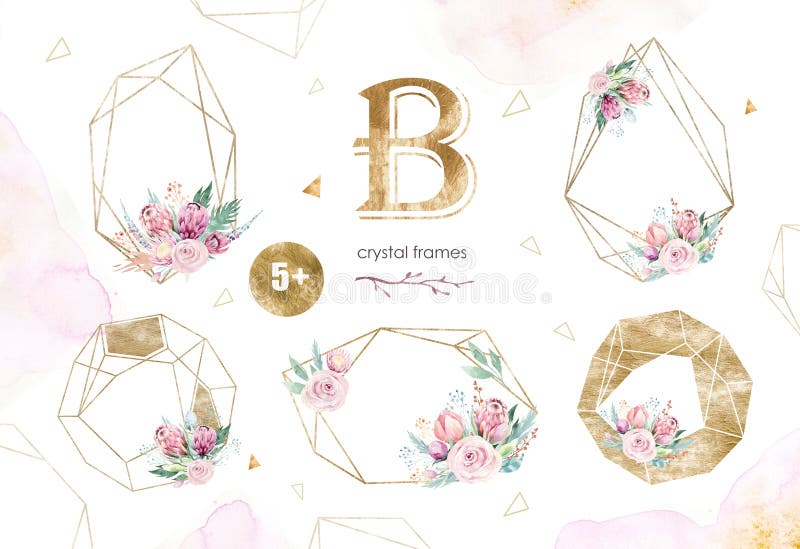 De handtekening isoleerde waterverf de bloemenillustratie met protea, bladeren, takken en bloemen toenam Boheems goud royalty-vrije illustratie De handtekening isoleerde waterverf de bloemenillustratie met protea, bladeren, takken en bloemen toenam Boheems goud royalty-vrije illustratie