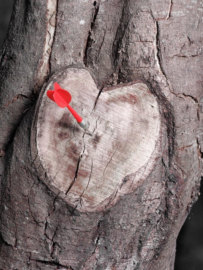 De hart gevormde scheiding van de boomtak in zwart-wit met een rood pijltje stock afbeeldingen De hart gevormde scheiding van de boomtak in zwart-wit met een rood pijltje stock afbeeldingen
