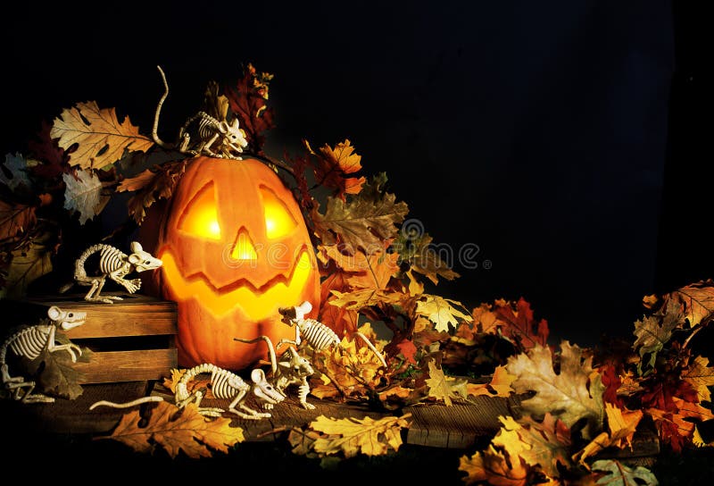 De hefboom-o-Lantaarn en het Skeletmuizen van Halloween royalty-vrije stock foto De hefboom-o-Lantaarn en het Skeletmuizen van Halloween royalty-vrije stock foto