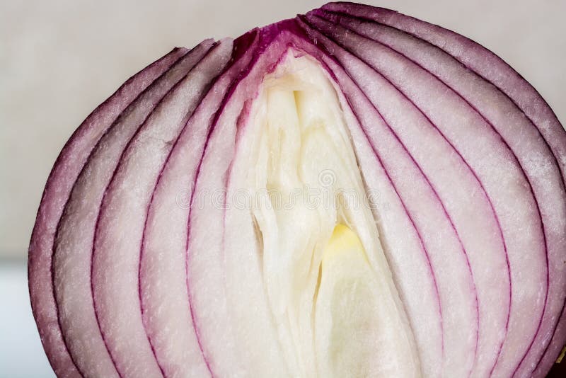 De Helft van een Ui royalty-vrije stock fotografie De Helft van een Ui royalty-vrije stock fotografie