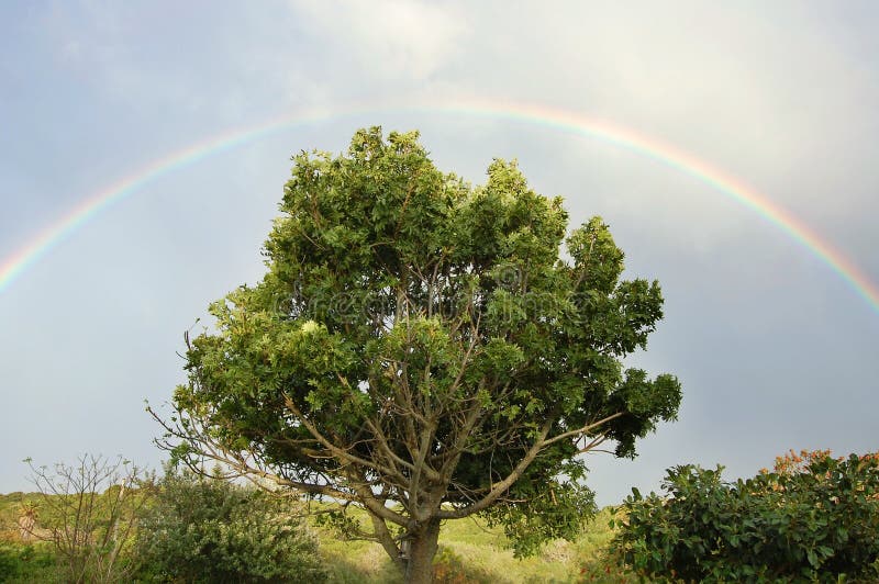 De hemel van de regenboog stock afbeeldingen De hemel van de regenboog stock afbeeldingen