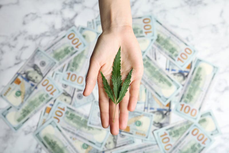 De hennepblad van de vrouwenholding over geld op lijst stock foto's De hennepblad van de vrouwenholding over geld op lijst stock foto's