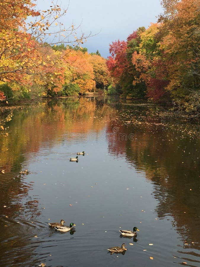 Verona park, NJ. Verona park, NJ