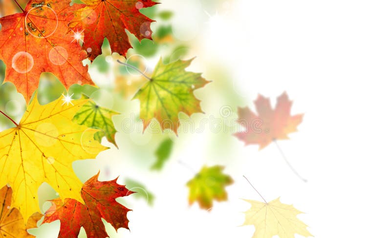 De herfst stock fotografie De herfst stock fotografie
