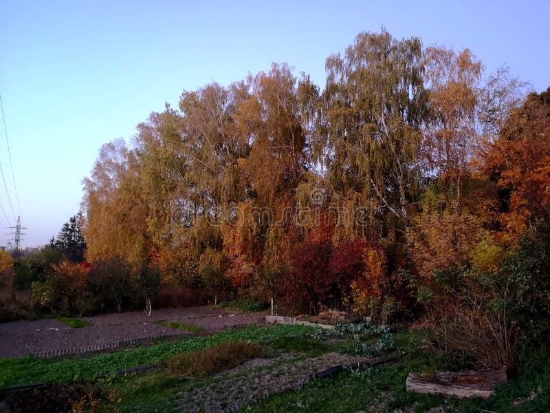 De herfst Daling Herfst park De bomen en de bladeren van de herfst royalty-vrije stock foto De herfst Daling Herfst park De bomen en de bladeren van de herfst royalty-vrije stock foto