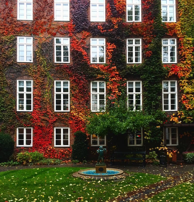 De herfst in Europa, huismuur door bladeren in diverse heldere kleuren wordt behandeld die royalty-vrije stock afbeeldingen De herfst in Europa, huismuur door bladeren in diverse heldere kleuren wordt behandeld die royalty-vrije stock afbeeldingen