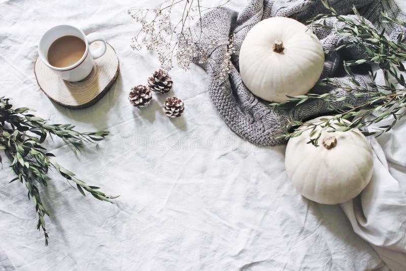 De herfst gestileerde foto Vrouwelijke Halloween-Desktopscène Kop van koffie, eucalyptus, denneappels, witte pompoenen en stock fotografie De herfst gestileerde foto Vrouwelijke Halloween-Desktopscène Kop van koffie, eucalyptus, denneappels, witte pompoenen en stock fotografie