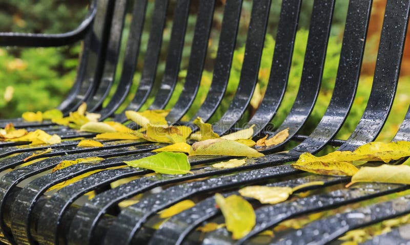 De herfst gevallen bladeren met dalingen van regen op een parkbank stock foto's De herfst gevallen bladeren met dalingen van regen op een parkbank stock foto's