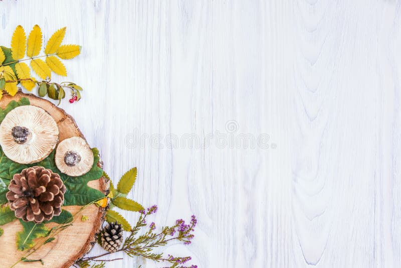 De herfst witte houten achtergrond stock afbeelding De herfst witte houten achtergrond stock afbeelding
