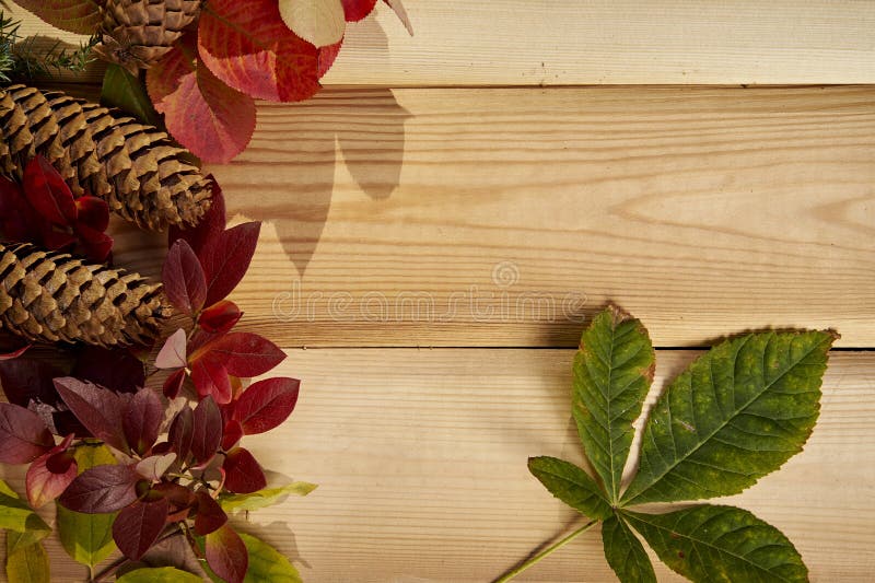De herfstachtergrond met bladeren, eikels en kegels op een oude houten lijst royalty-vrije stock foto's De herfstachtergrond met bladeren, eikels en kegels op een oude houten lijst royalty-vrije stock foto's