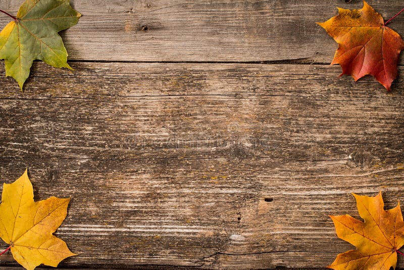 De herfstbladeren over houten achtergrond met exemplaarruimte stock foto's De herfstbladeren over houten achtergrond met exemplaarruimte stock foto's