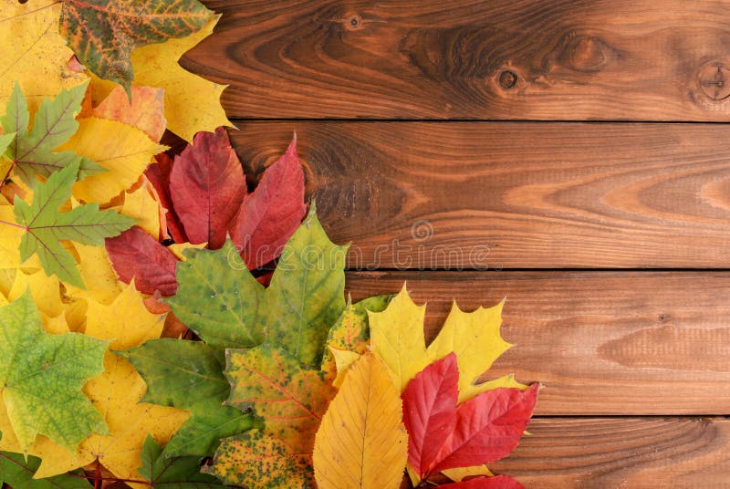 De herfstbladeren over houten achtergrond met exemplaarruimte royalty-vrije stock afbeelding De herfstbladeren over houten achtergrond met exemplaarruimte royalty-vrije stock afbeelding