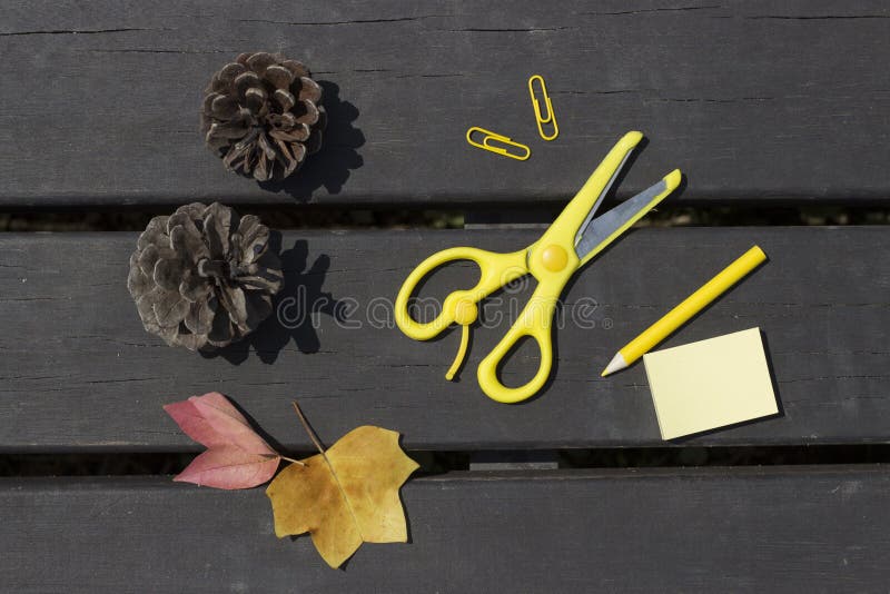 De herfstbladeren, schaar, potlood, paperclippen op een houten achtergrond, schoolconcept stock foto De herfstbladeren, schaar, potlood, paperclippen op een houten achtergrond, schoolconcept stock foto