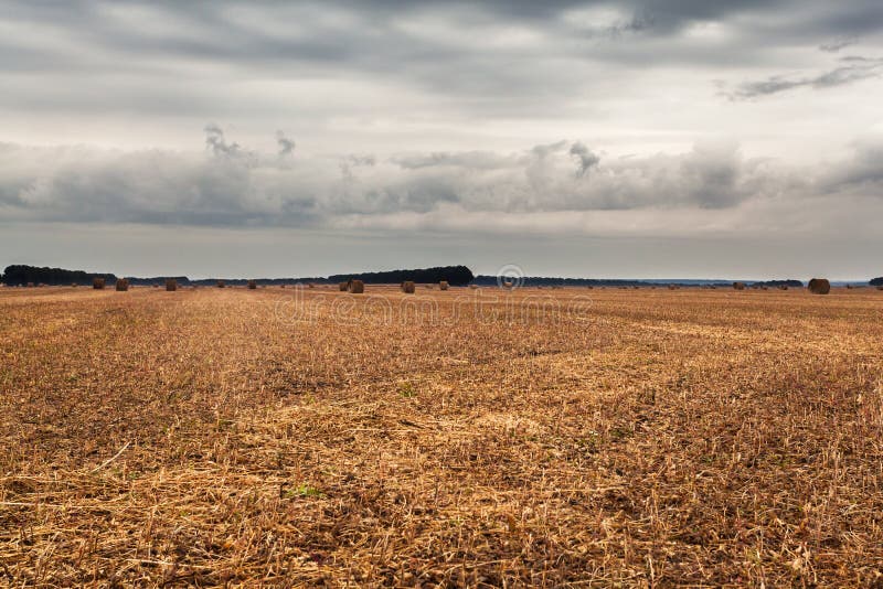 De herfstgebied met schoven van hooi en dramatische hemel stock afbeelding De herfstgebied met schoven van hooi en dramatische hemel stock afbeelding