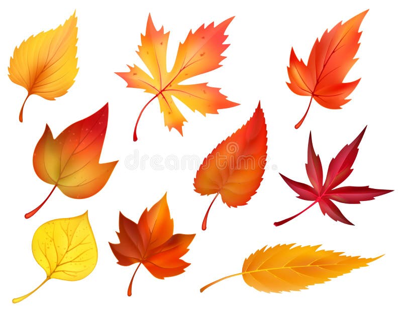 De herfstgebladerte van vectorpictogrammen van dalings de dalende bladeren stock illustratie De herfstgebladerte van vectorpictogrammen van dalings de dalende bladeren stock illustratie