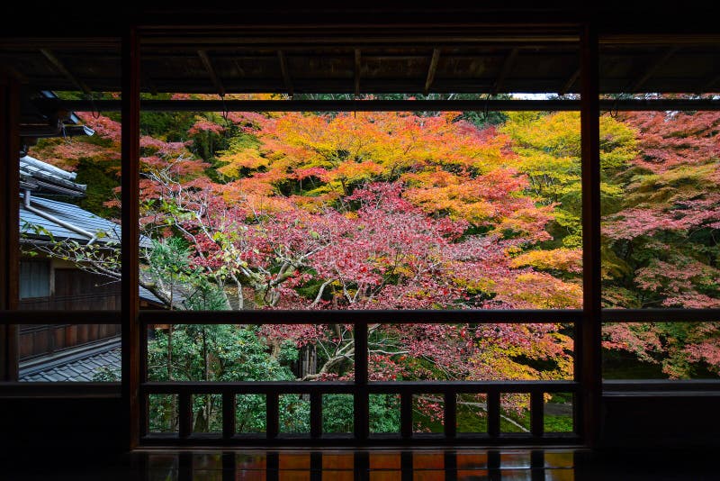 De herfstmening van esdoornbomen in trillende die dalingskleur door een Japans houten balkon wordt ontworpen royalty-vrije stock foto's De herfstmening van esdoornbomen in trillende die dalingskleur door een Japans houten balkon wordt ontworpen royalty-vrije stock foto's