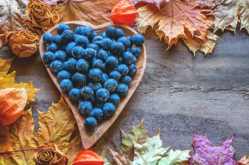 De herfstoogst van blauwe doornen op een houten plaat in de vorm van een hart De achtergrond van de herfst Rode en oranje het bla stock afbeeldingen De herfstoogst van blauwe doornen op een houten plaat in de vorm van een hart De achtergrond van de herfst Rode en oranje het bla stock afbeeldingen