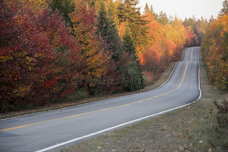 De herfstweg stock afbeelding De herfstweg stock afbeelding