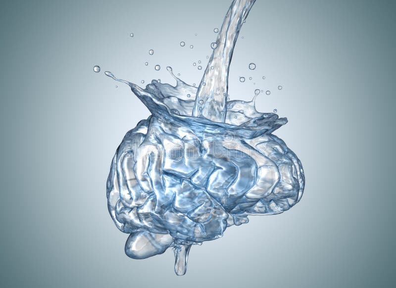 De hersenen worden gevuld met water vector illustratie De hersenen worden gevuld met water vector illustratie