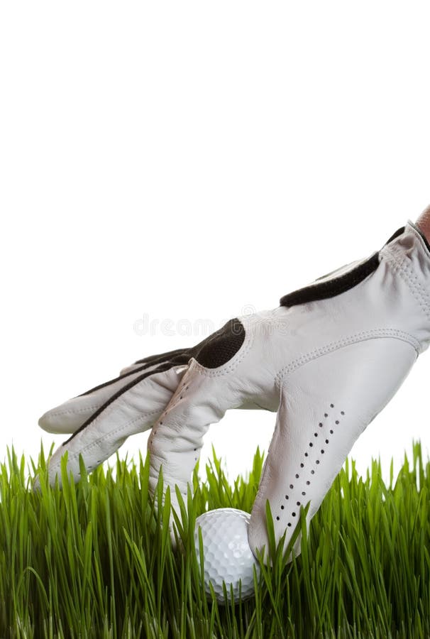 A golfer retrieves a golf ball from the long grass on white. A golfer retrieves a golf ball from the long grass on white