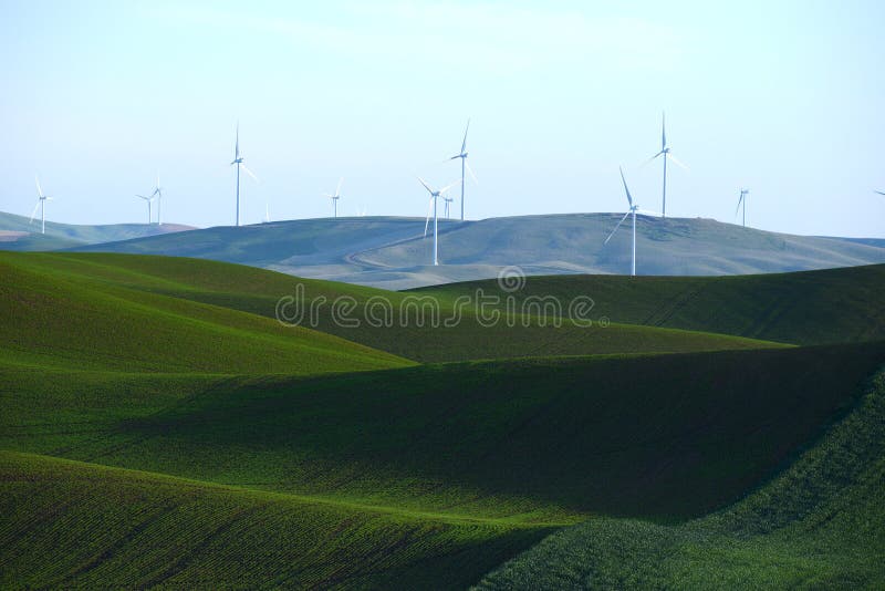 De heuvel van het tarwelandbouwbedrijf met windmolen stock afbeeldingen De heuvel van het tarwelandbouwbedrijf met windmolen stock afbeeldingen