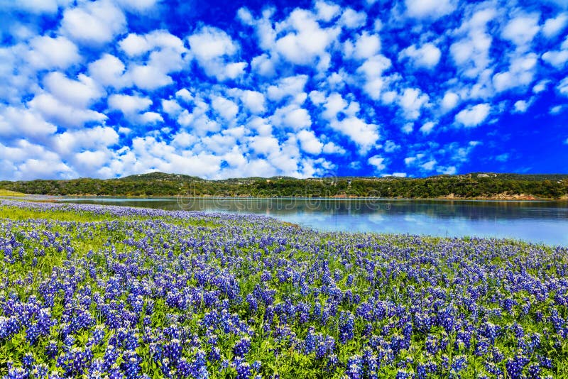 De heuvelland van Texas royalty-vrije stock afbeeldingen De heuvelland van Texas royalty-vrije stock afbeeldingen