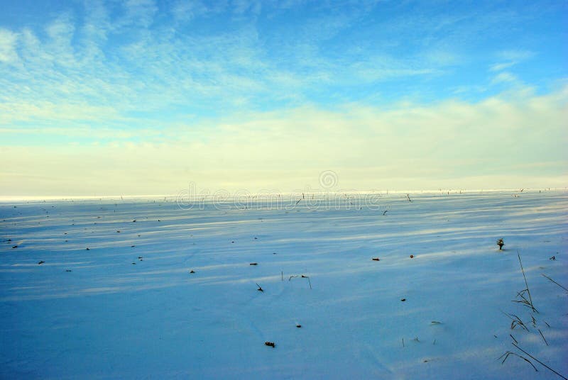 De heuvels met sneeuw, gebied met zonnebloem worden behandeld snijden stammen, de winterlandschap, heldere blauw-gouden bewolkte royalty-vrije stock afbeelding De heuvels met sneeuw, gebied met zonnebloem worden behandeld snijden stammen, de winterlandschap, heldere blauw-gouden bewolkte royalty-vrije stock afbeelding