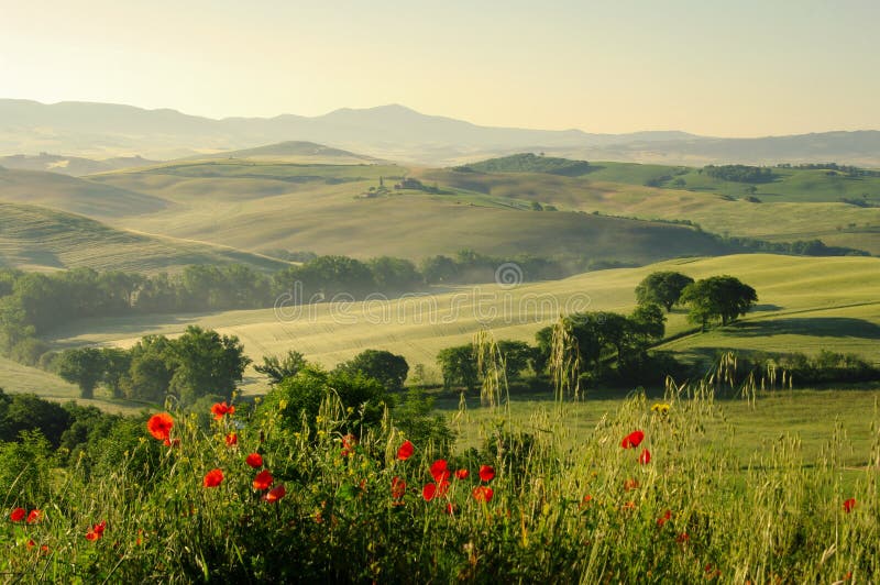 De heuvels van Toscanië
