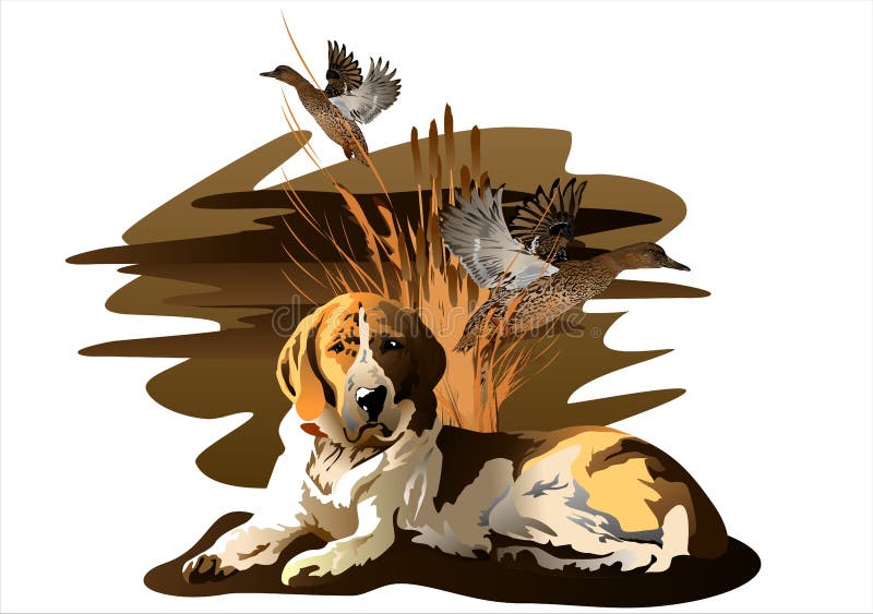 De hond en de eend stock illustratie De hond en de eend stock illustratie