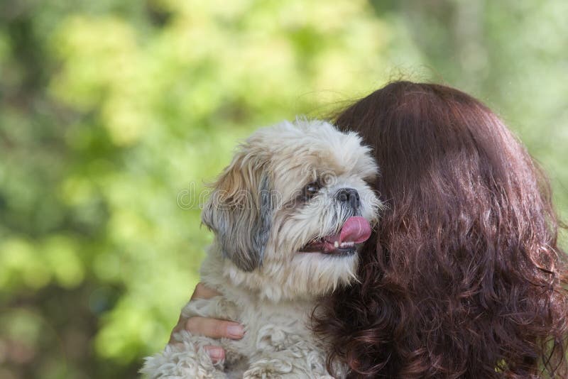 De hond en zijn eigenaar zijn de beste vrienden royalty-vrije stock fotografie De hond en zijn eigenaar zijn de beste vrienden royalty-vrije stock fotografie