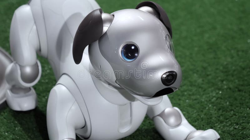 De hond van de aiborobot van Sony in spelboog stelt.