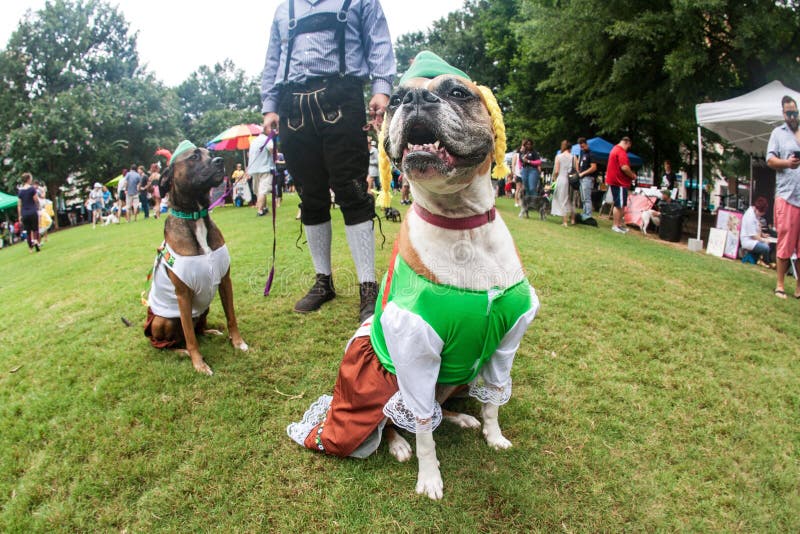 De honden dragen Grappige Beierse Kostuums in Atlanta Van een hond bedriegen Gebeurtenis