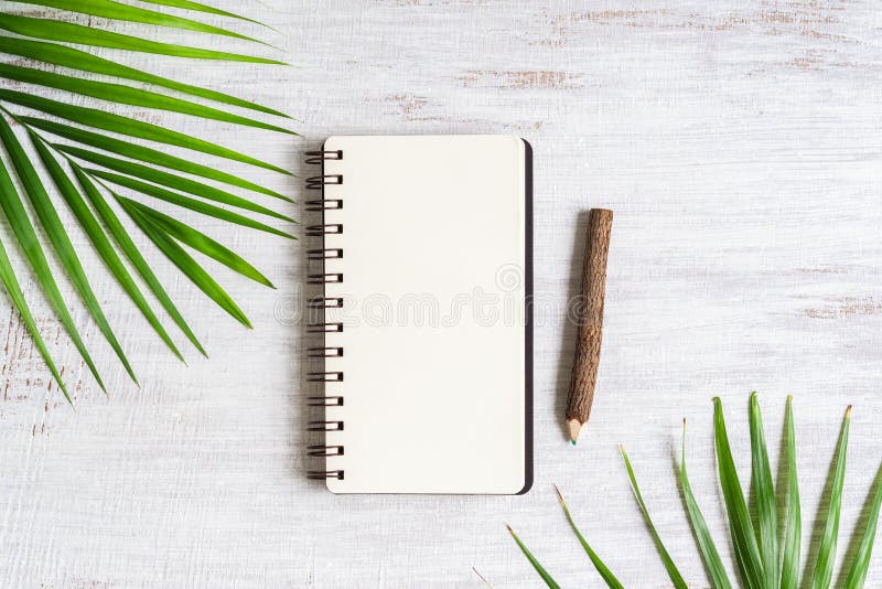 De hoogste mening van leeg notitieboekje met palmblad en houten potlood op vlakke grunge witte houten achtergrond, legt met exemp royalty-vrije stock afbeelding De hoogste mening van leeg notitieboekje met palmblad en houten potlood op vlakke grunge witte houten achtergrond, legt met exemp royalty-vrije stock afbeelding