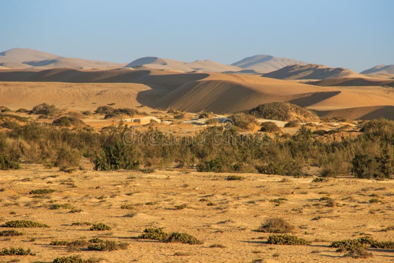 De hoogste zandduinen in de wereld bij zonsondergang in Namib-Woestijn, in het Nationale Park namib-Nacluft in Namibi? stock fotografie De hoogste zandduinen in de wereld bij zonsondergang in Namib-Woestijn, in het Nationale Park namib-Nacluft in Namibi? stock fotografie