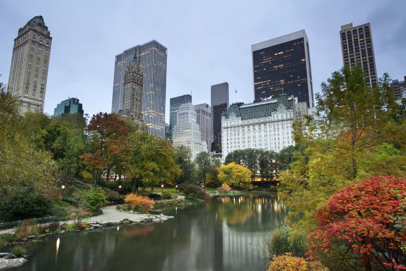 De Horizon van het Central Park en van Manhattan. stock afbeeldingen De Horizon van het Central Park en van Manhattan. stock afbeeldingen
