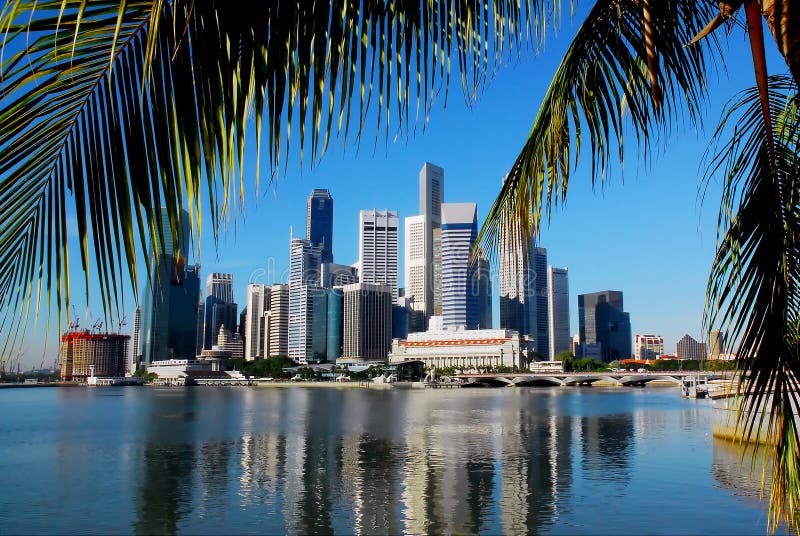 De horizon van Singapore en palmleafs royalty-vrije stock afbeeldingen De horizon van Singapore en palmleafs royalty-vrije stock afbeeldingen