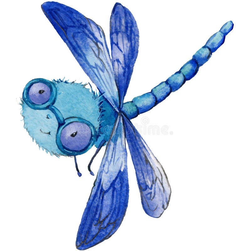 Cartoon insect dragonfly watercolor illustration. on white background. Cartoon insect dragonfly watercolor illustration. on white background.