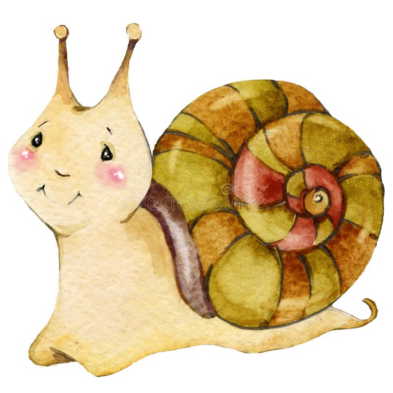 Cartoon insect snail watercolor illustration. on white background. Cartoon insect snail watercolor illustration. on white background.