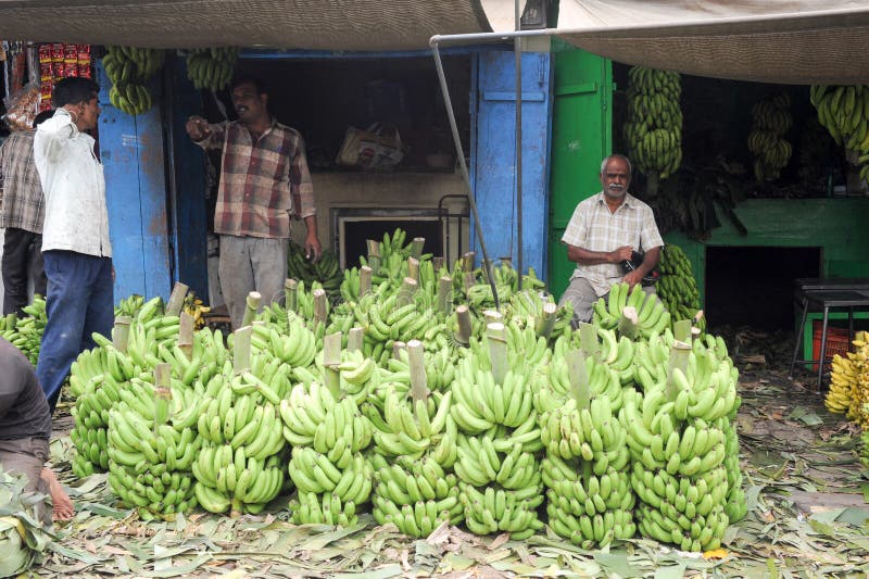 De Indische verkopers met banaan blokkeren in de Devaraja-fruitmarkt stock afbeeldingen De Indische verkopers met banaan blokkeren in de Devaraja-fruitmarkt stock afbeeldingen