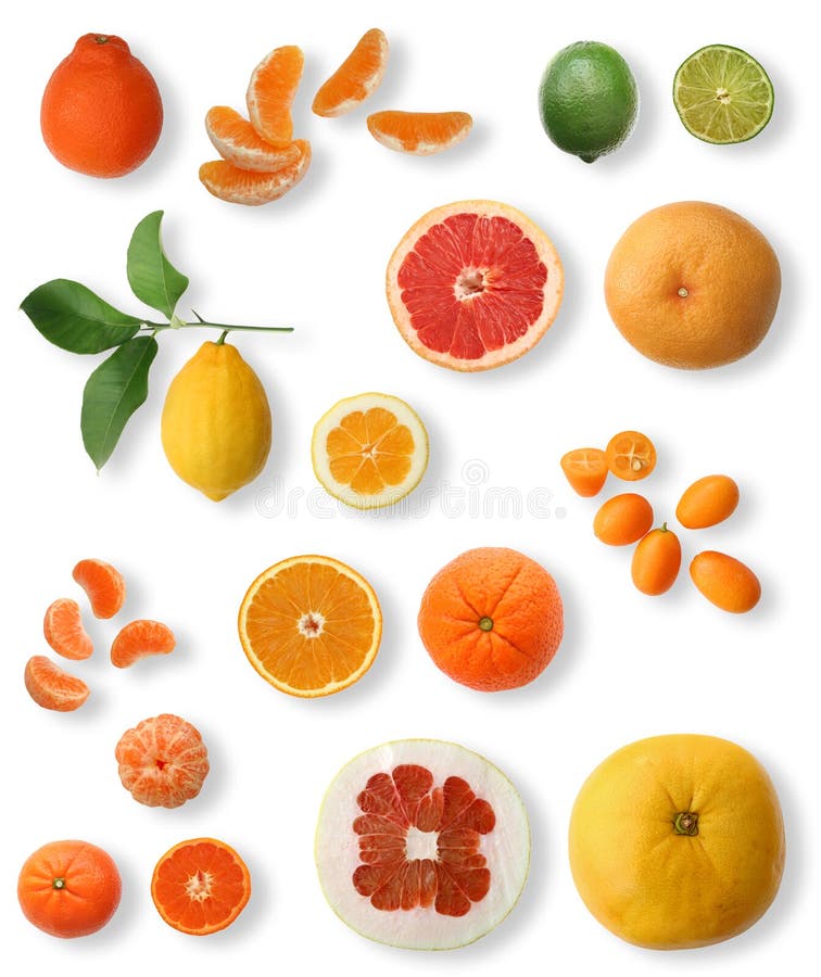 De inzameling van de citrusvrucht stock afbeelding De inzameling van de citrusvrucht stock afbeelding