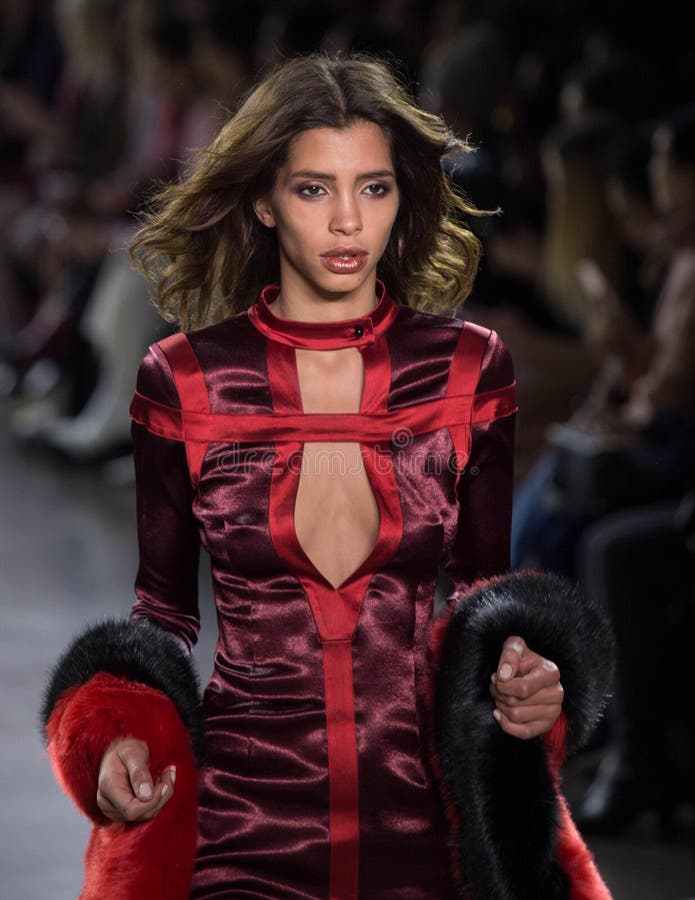 De Inzameling van Vivienne Hu Fall /Winter tijdens de Manierweek van New York stock afbeeldingen De Inzameling van Vivienne Hu Fall /Winter tijdens de Manierweek van New York stock afbeeldingen