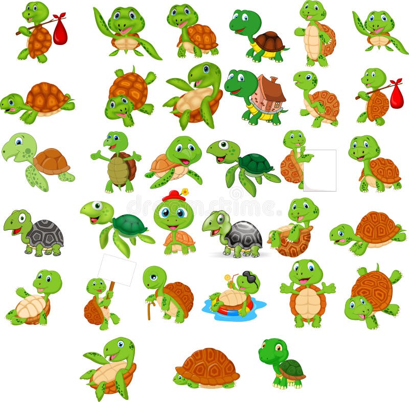 De inzamelingsreeks van de beeldverhaalschildpad