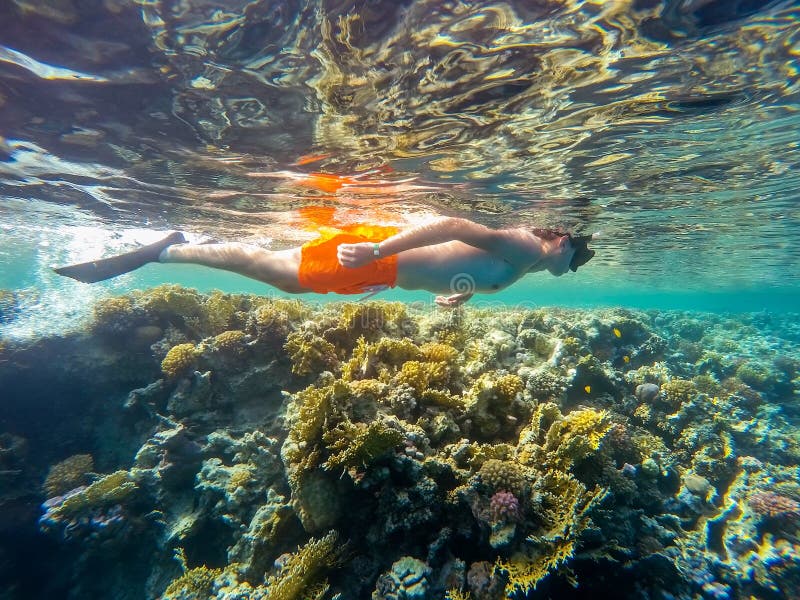 De jonge jongen snorkelt zwemt in ondiep water met koraalvissen stock fotografie De jonge jongen snorkelt zwemt in ondiep water met koraalvissen stock fotografie