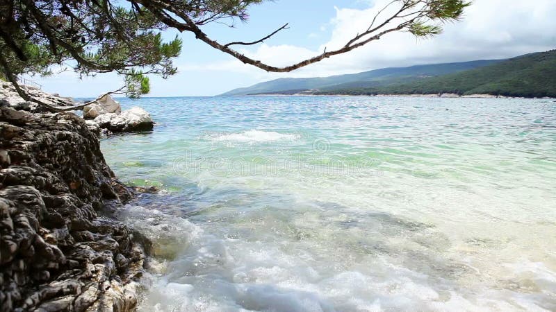 De jonge mens gaat in blauw baaiwater binnen op schone Kroatische kust