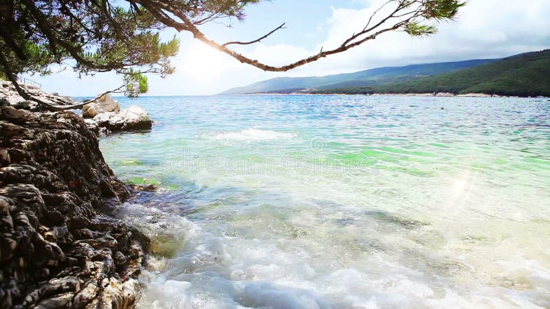 De jonge mens gaat in blauw baaiwater binnen op schone Kroatische kust