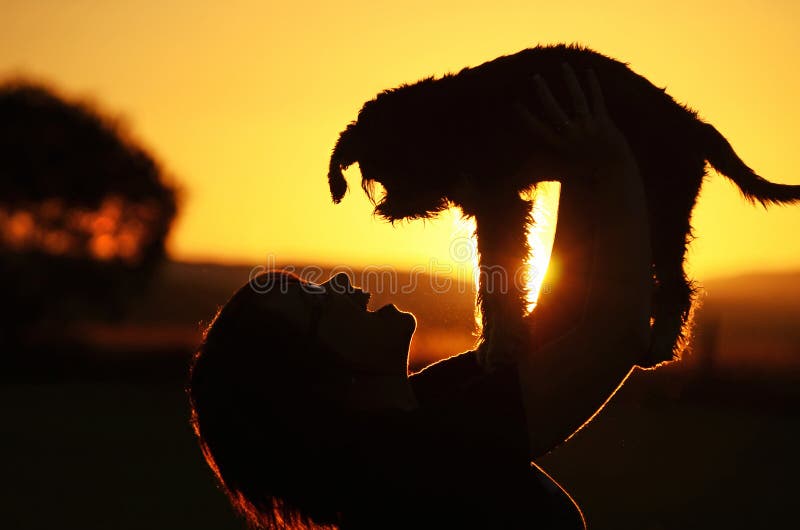 De jonge vrouw toont vreugde & geluk wanneer de verloren puppyhond veilig vond De jonge vrouw toont vreugde & geluk wanneer de verloren puppyhond veilig vond
